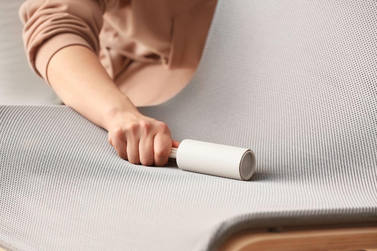 Jak se zbavit chlupů od psa